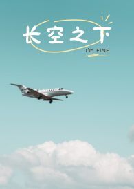 长空之下实体书